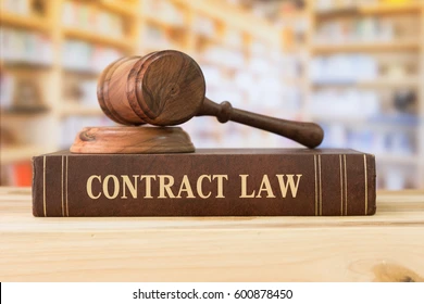 contract-law-books-gavel-on-260nw-600878450